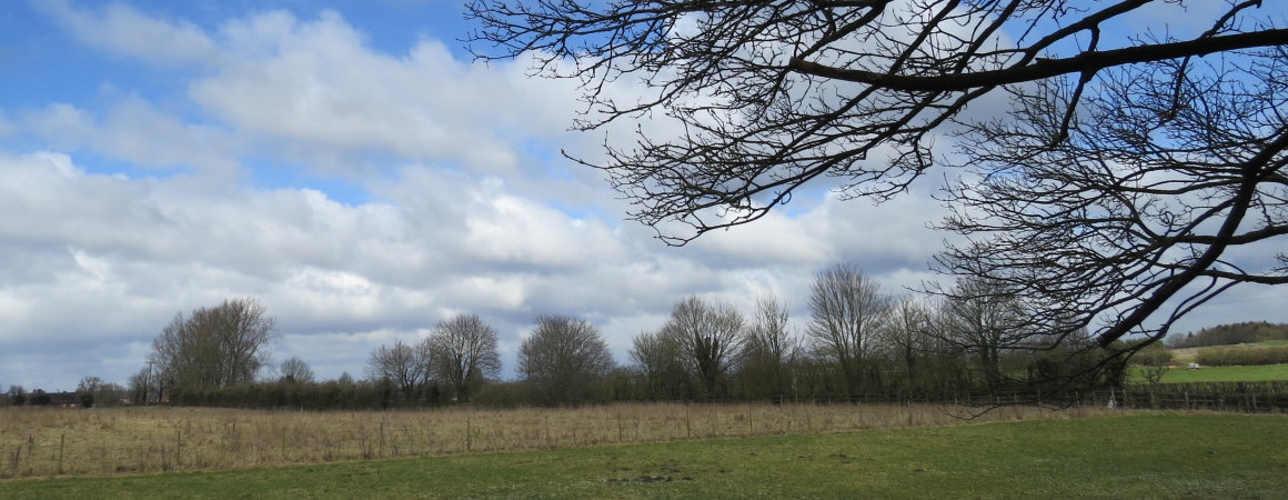 A landscape with trees along the horizon, a cloudy blue sky and dark branches on the right edge of the picture