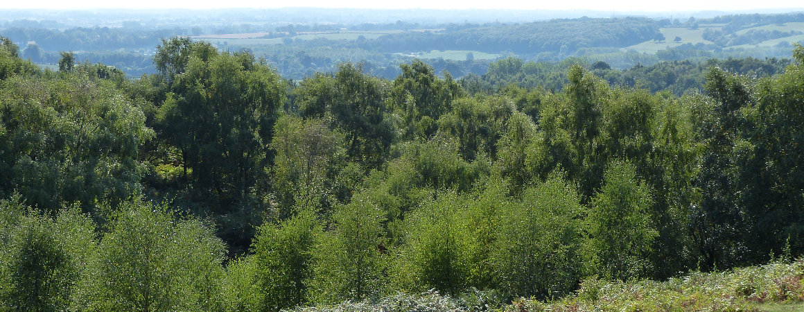 A view from Barlaston Downs with trees in the foreground, distant fields and a hazy sky.