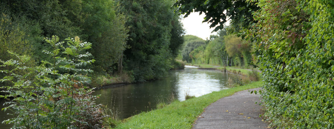A winding path following the side of a canal with grass and overhanging green trees.